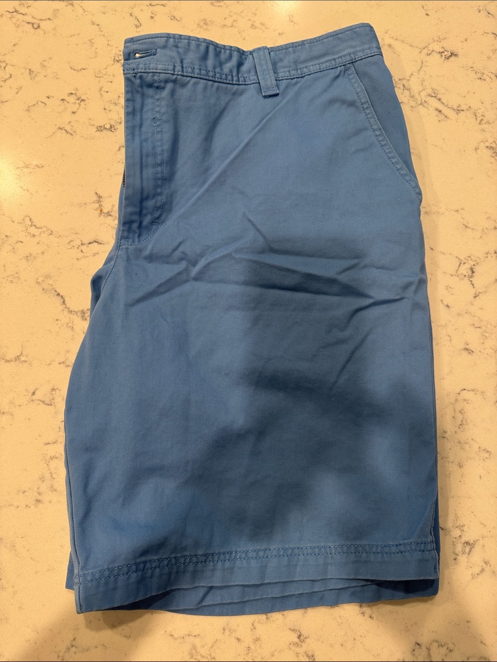 Izod Men's Light Blue Flat Front Shorts